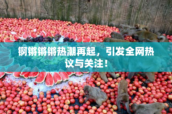 锕锵锵锵热潮再起，引发全网热议与关注！