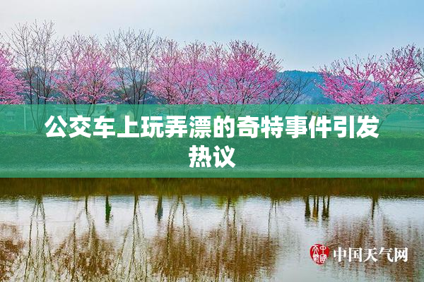 公交车上玩弄漂的奇特事件引发热议