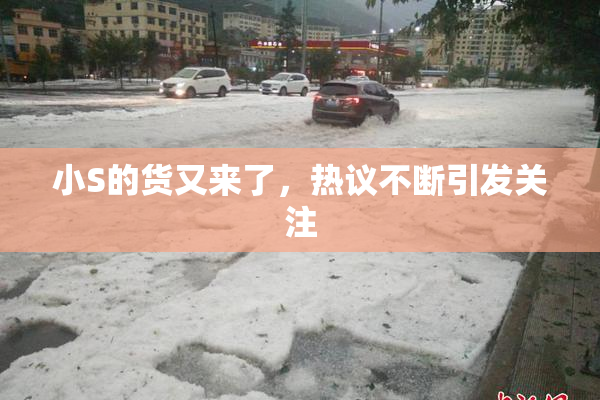 小S的货又来了，热议不断引发关注