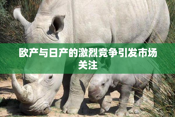 欧产与日产的激烈竞争引发市场关注