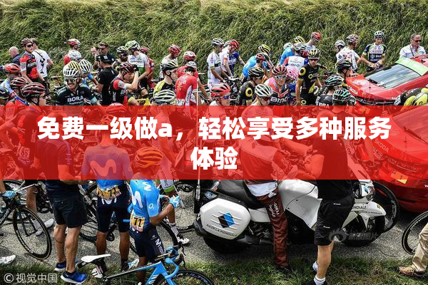 免费一级做a，轻松享受多种服务体验