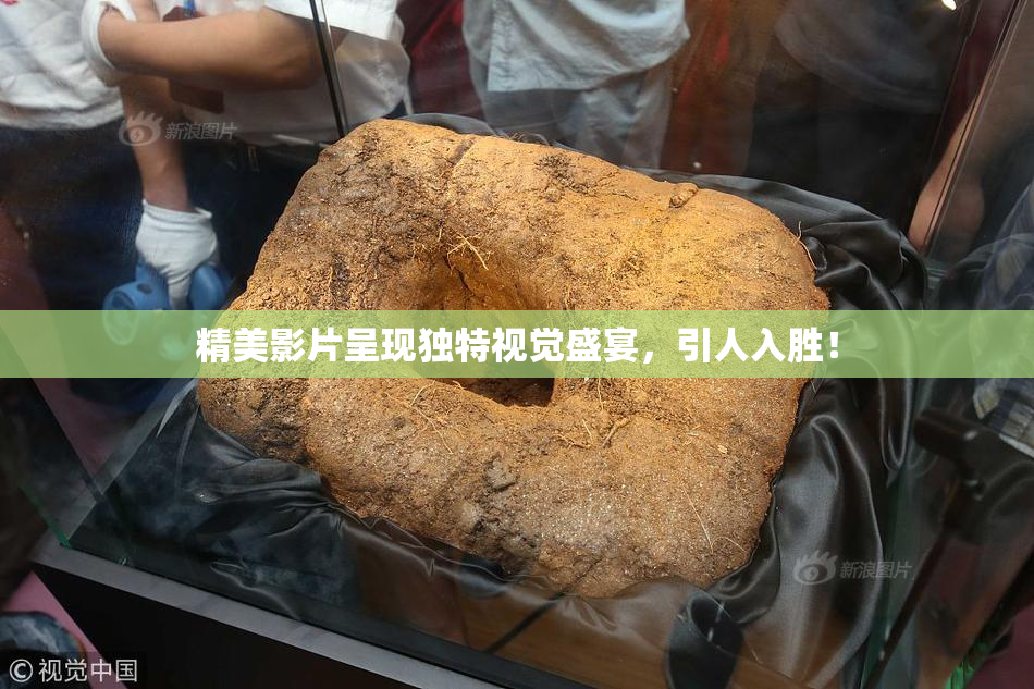 精美影片呈现独特视觉盛宴，引人入胜！