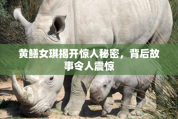黄鳝女琪揭开惊人秘密，背后故事令人震惊