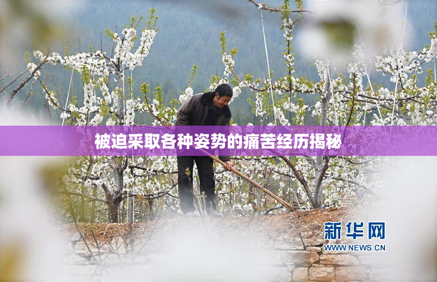 被迫采取各种姿势的痛苦经历揭秘