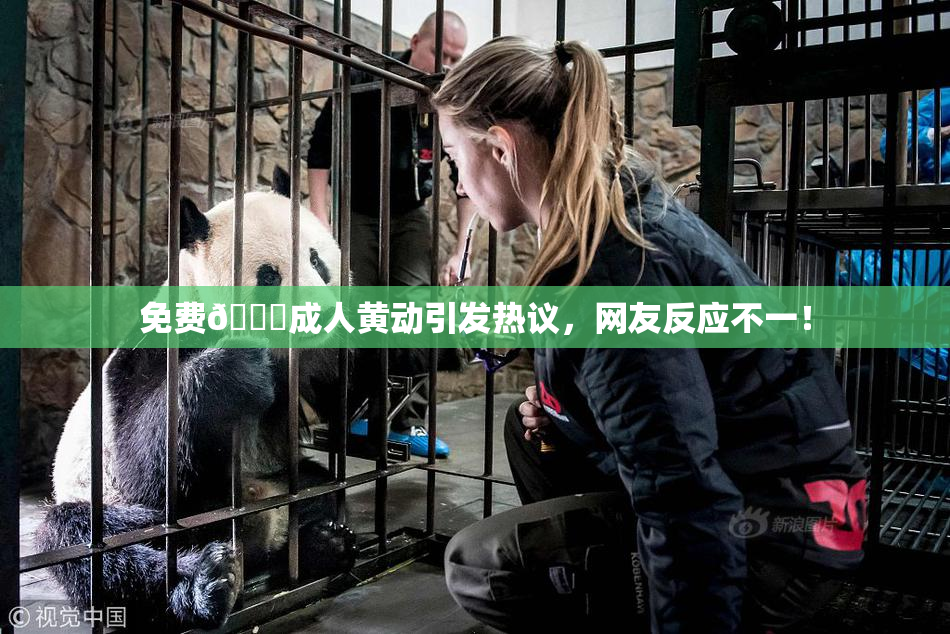 免费🔞成人黄动引发热议，网友反应不一！