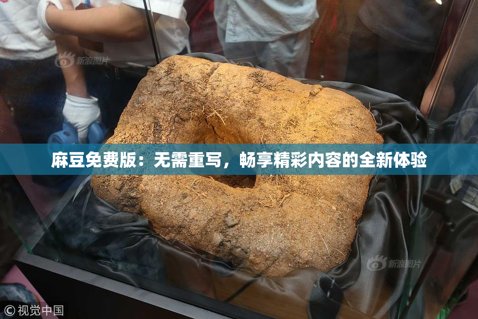 麻豆免费版：无需重写，畅享精彩内容的全新体验