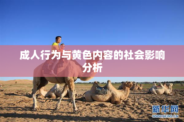 成人行为与黄色内容的社会影响分析