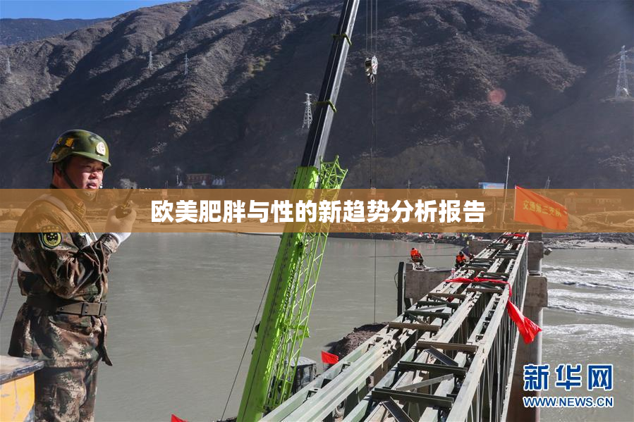 欧美肥胖与性的新趋势分析报告