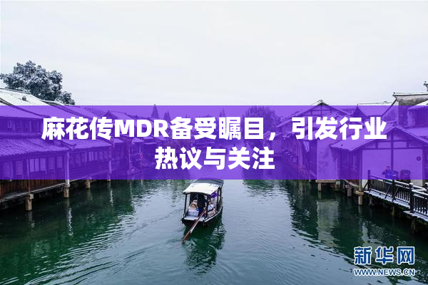 麻花传MDR备受瞩目，引发行业热议与关注