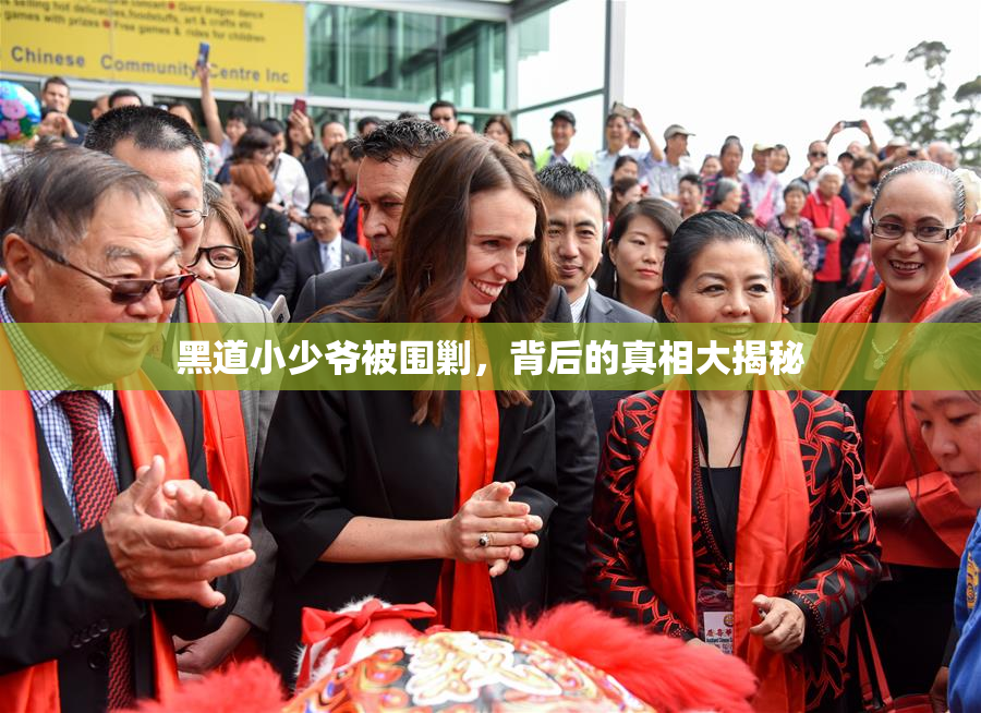 黑道小少爷被围剿，背后的真相大揭秘