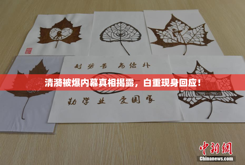 清漪被爆内幕真相揭露，白重现身回应！