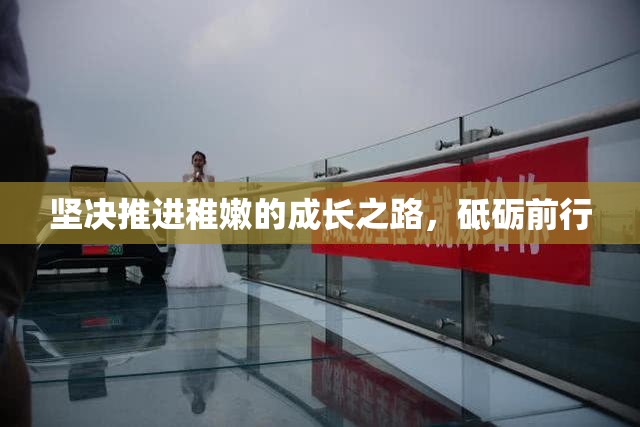 坚决推进稚嫩的成长之路，砥砺前行