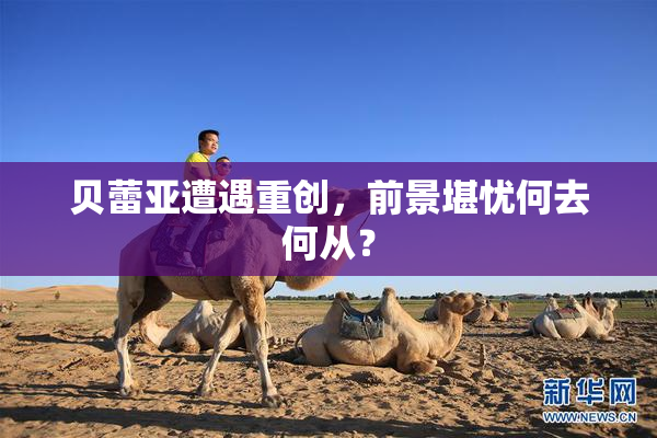 贝蕾亚遭遇重创，前景堪忧何去何从？