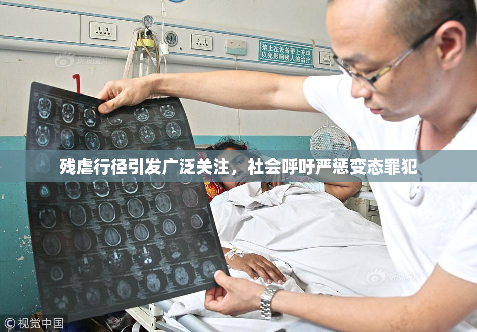 残虐行径引发广泛关注，社会呼吁严惩变态罪犯
