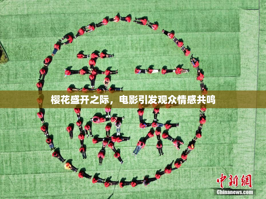 樱花盛开之际，电影引发观众情感共鸣