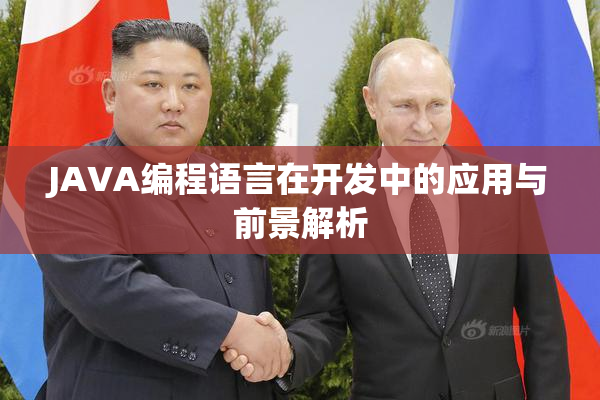 JAVA编程语言在开发中的应用与前景解析