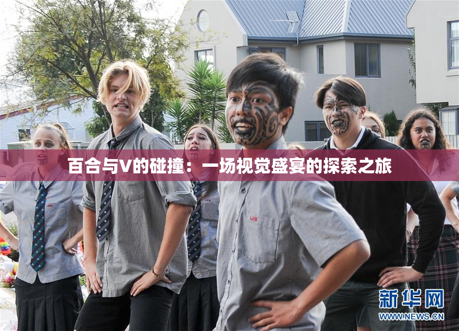 百合与V的碰撞：一场视觉盛宴的探索之旅