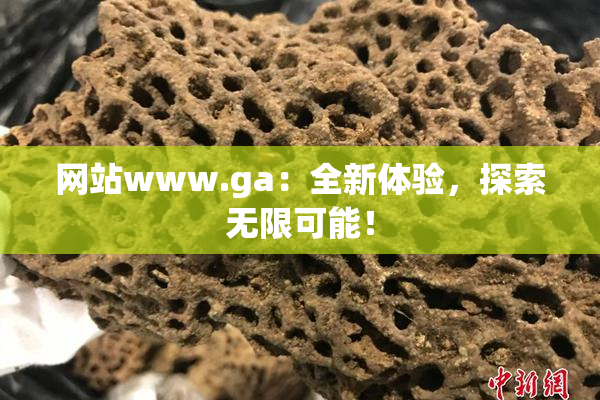 网站www.ga：全新体验，探索无限可能！