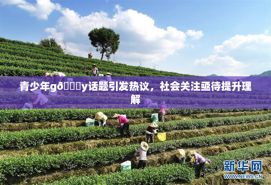 青少年g🈚y话题引发热议，社会关注亟待提升理解