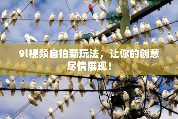 9l视频自拍新玩法，让你的创意尽情展现！