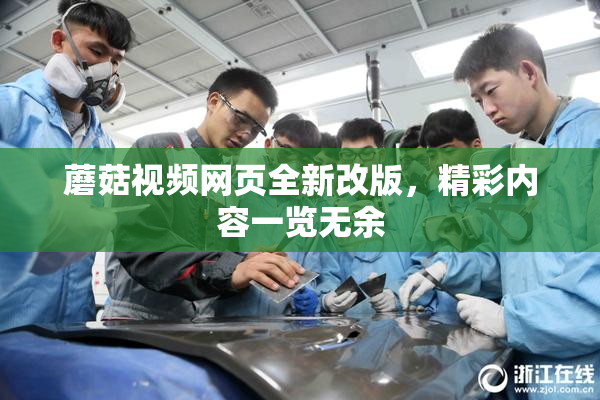 蘑菇视频网页全新改版，精彩内容一览无余