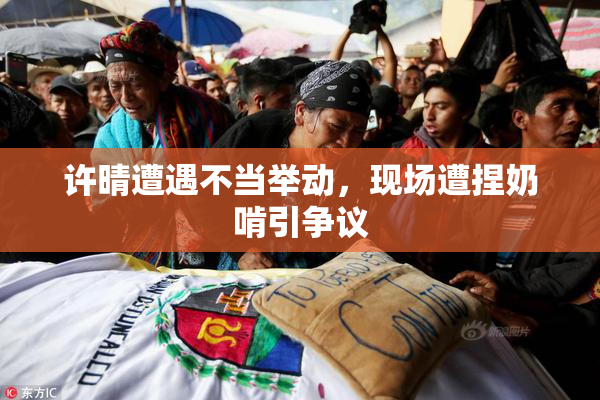 许晴遭遇不当举动，现场遭捏奶啃引争议
