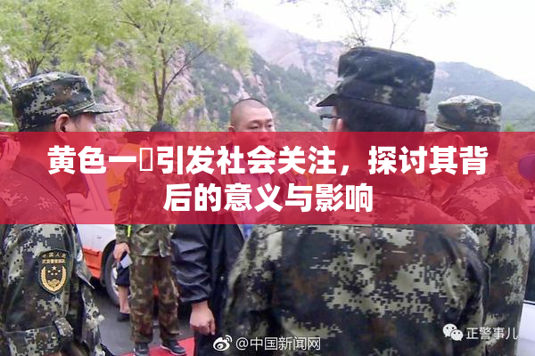 黄色一級引发社会关注，探讨其背后的意义与影响