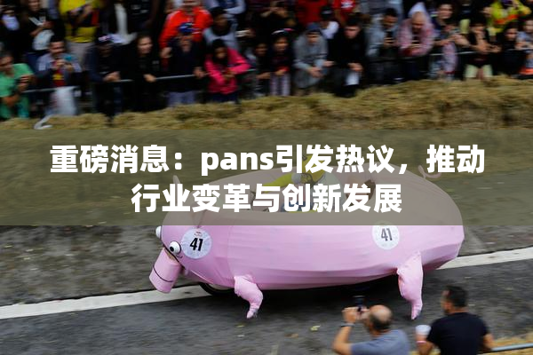 重磅消息：pans引发热议，推动行业变革与创新发展