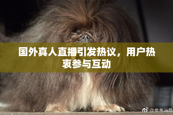 国外真人直播引发热议，用户热衷参与互动