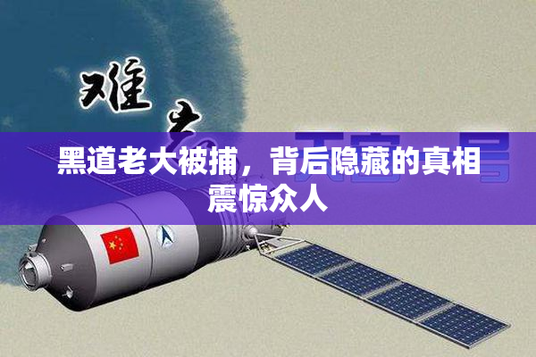 黑道老大被捕，背后隐藏的真相震惊众人