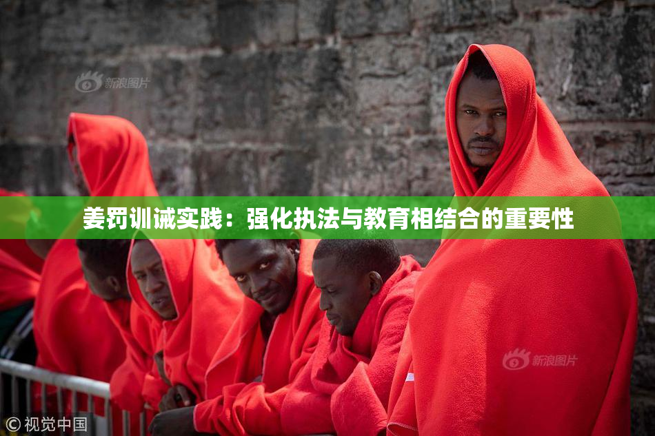 姜罚训诫实践：强化执法与教育相结合的重要性