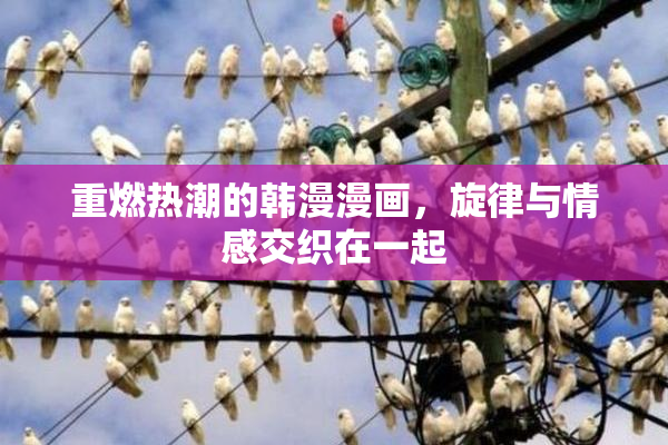 重燃热潮的韩漫漫画，旋律与情感交织在一起
