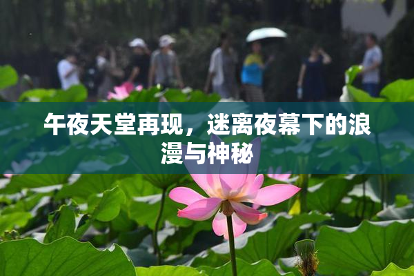 午夜天堂再现，迷离夜幕下的浪漫与神秘