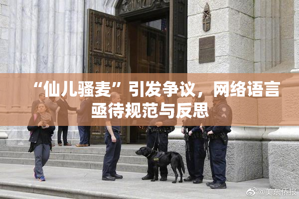 “仙儿骚麦”引发争议，网络语言亟待规范与反思