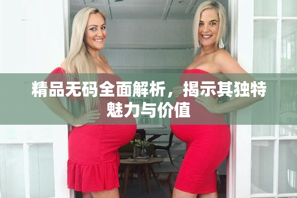 精品无码全面解析，揭示其独特魅力与价值