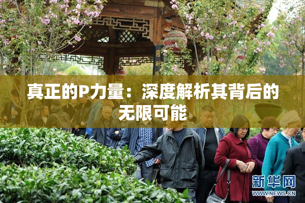 真正的P力量：深度解析其背后的无限可能