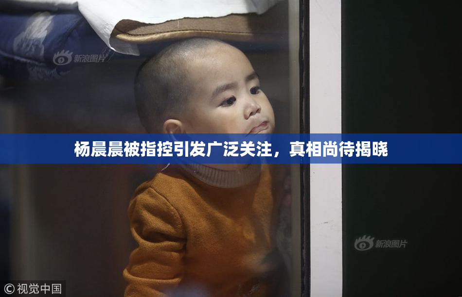 杨晨晨被指控引发广泛关注，真相尚待揭晓