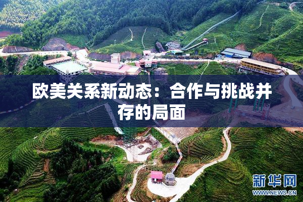 欧美关系新动态：合作与挑战并存的局面