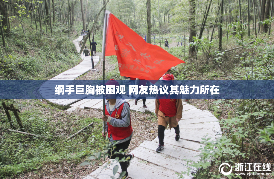 纲手巨胸被围观 网友热议其魅力所在