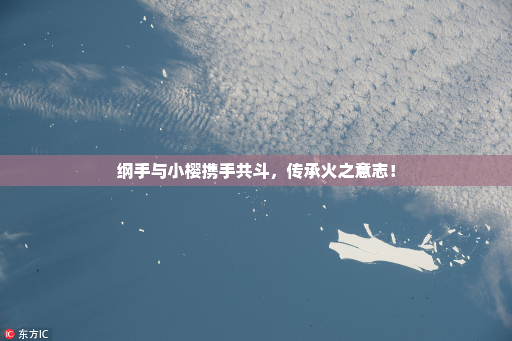 纲手与小樱携手共斗，传承火之意志！