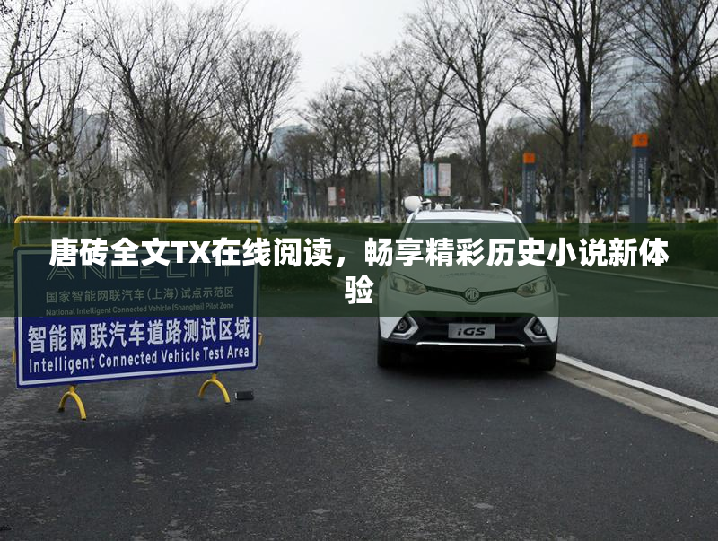 唐砖全文TX在线阅读，畅享精彩历史小说新体验