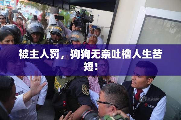 被主人罚，狗狗无奈吐槽人生苦短！