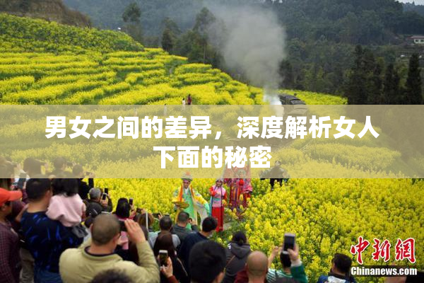 男女之间的差异，深度解析女人下面的秘密
