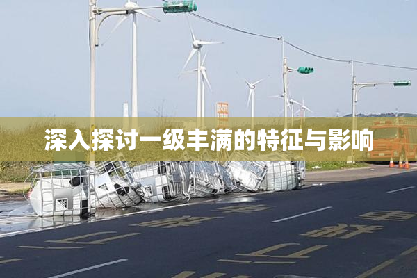 深入探讨一级丰满的特征与影响