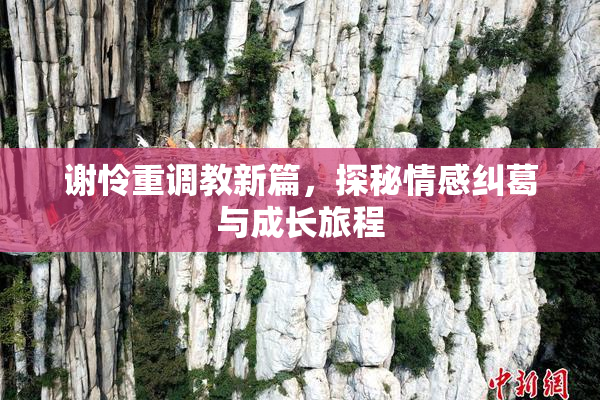 谢怜重调教新篇，探秘情感纠葛与成长旅程