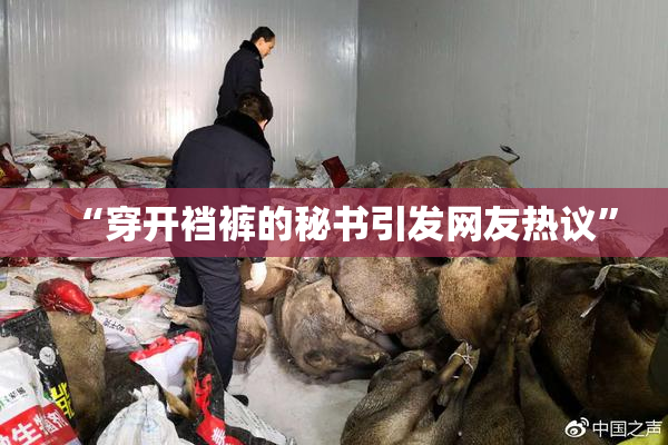“穿开裆裤的秘书引发网友热议”