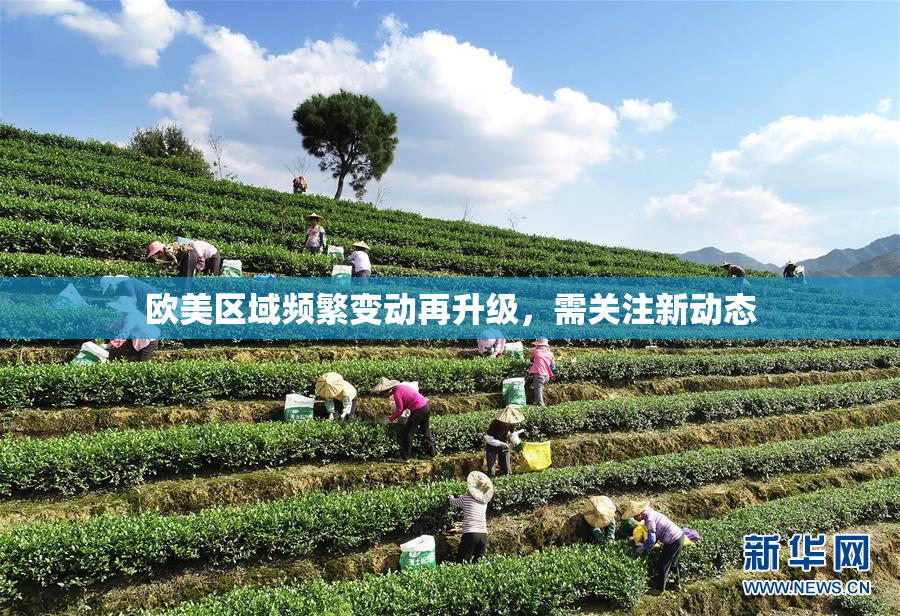 欧美区域频繁变动再升级，需关注新动态