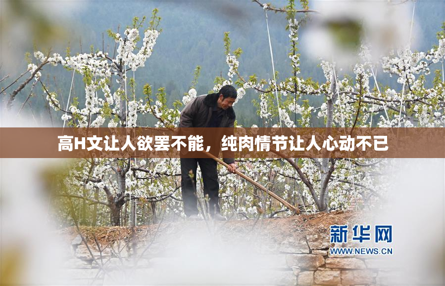 高H文让人欲罢不能，纯肉情节让人心动不已