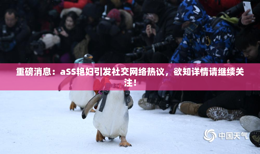 重磅消息：aSS艳妇引发社交网络热议，欲知详情请继续关注！