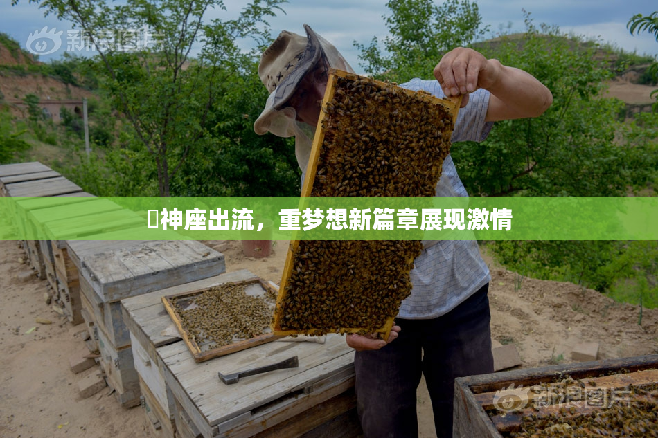 狛神座出流，重梦想新篇章展现激情